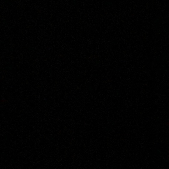 Meet your Posher, Sidney - Picture 1 of 1